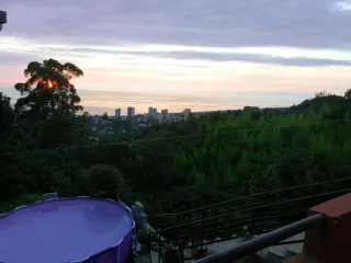 გეგას ქონება