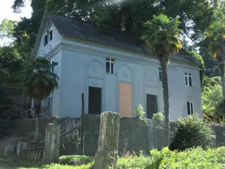 გეოკამელია