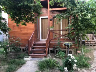 ქართული დამალული ძვირფასი ქვები