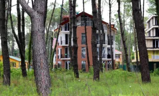 გინა შეკვეთილი