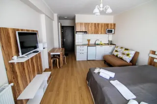 გოგო ბინები ახალი გუდაური