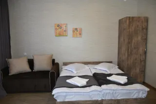 ბინა ირა