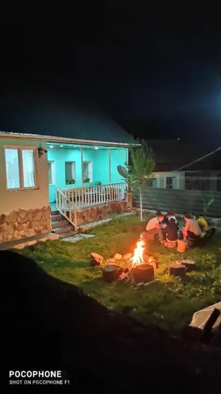 მწვანე ჰოსტელი