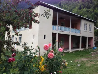 მწვანე სახლი ბეჩო