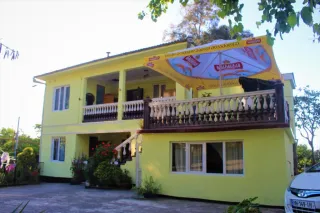 მწვანე სახლი ბუნებაში