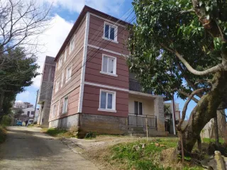 მწვანე სამყარო