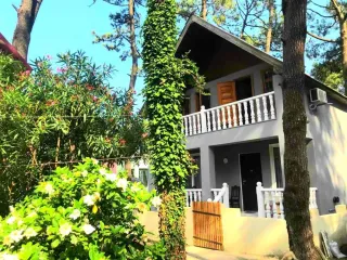 გრიგოლეთი - ზღვის ტყის სახლი