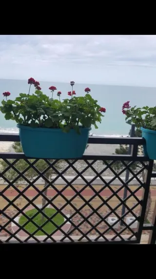 სასტუმრო სახლი 1