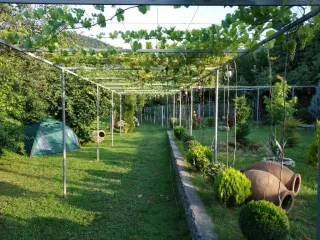 სასტუმრო სახლი გარდენია და ღვინის მარანი