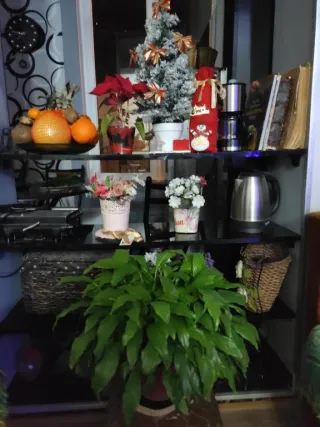 სასტუმრო სახლი გელიტი