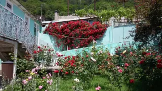 სასტუმრო სახლი მწვანე ვარდი