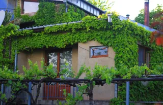 სასტუმრო სახლი მწვანე ვერანდა