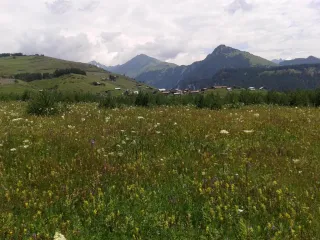 სასტუმრო სახლი გრილო