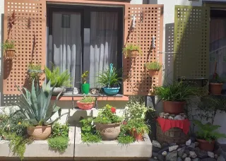 სასტუმრო სახლი ლომი