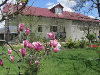 სასტუმრო სახლი მელისა