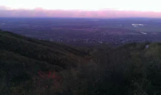 სასტუმრო სახლი შოთა