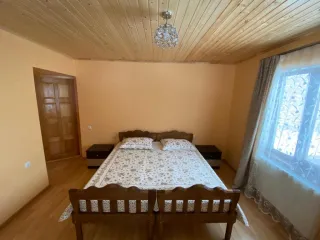 ვიქტორ სასტუმრო სახლი