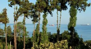 სასტუმრო სახლი ზორბეგი