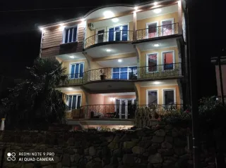 საოჯახო ენრი