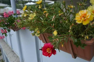 სასტუმრო სახლი გიორგი