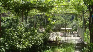 სასტუმრო სახლი ვალერია