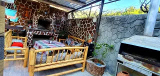 ბედნიერი პანდა N12