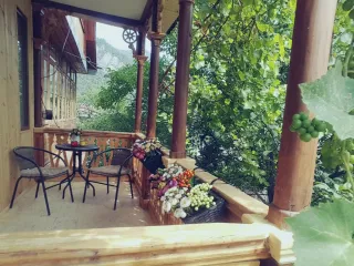 გორაკის ორბელიანის რეზიდენცია