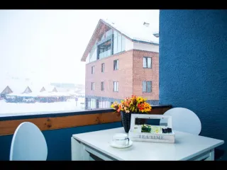 ბინა მთის ორქიდეა