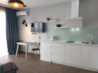 ბინა ალინინო