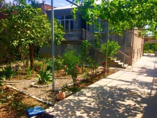 ჰოსტელი FORREST