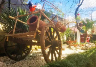 ჰოსტელი სადუ ქუთაისი