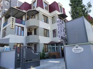 სასტუმრო ALEX