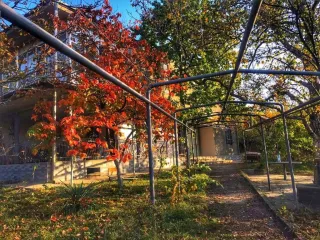 სასტუმრო გოგლაურა