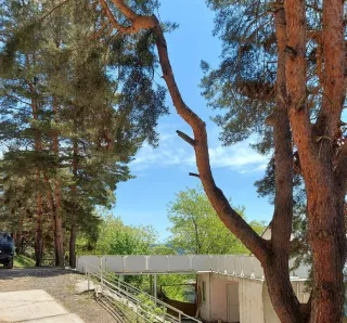 სასტუმრო კიდობანი