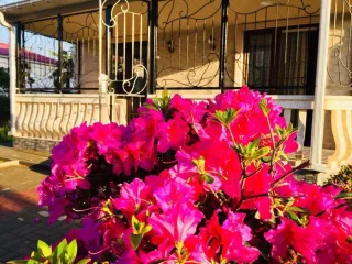 ბინა ზღვასთან ახლოს 1