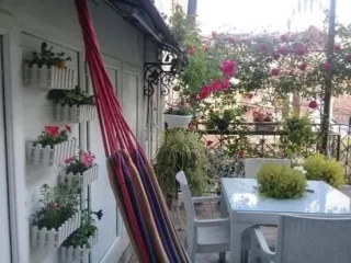 ბინა ანასტასია