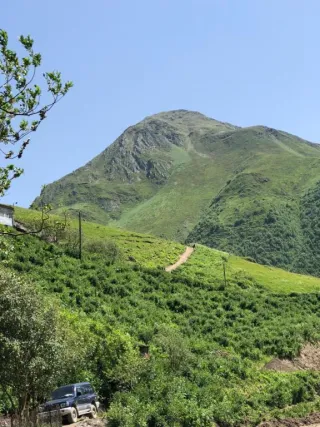 სასტუმრო SHIBI