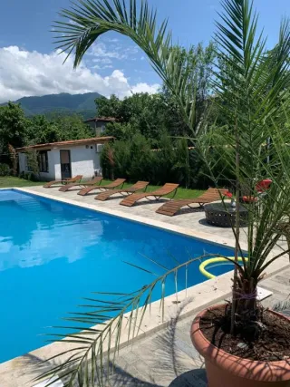 ისევ ყვარელი