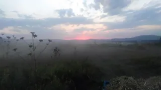 ჯგარდლა