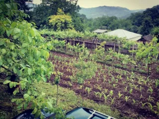 ხარაგაულის ტკბილი სახლი