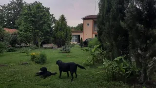 კისისხევის სათბური