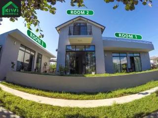 კივი საქართველო