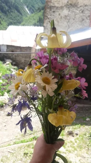 კობა ქალდანის სასტუმრო სახლი