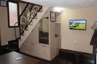 ბინა ანზი