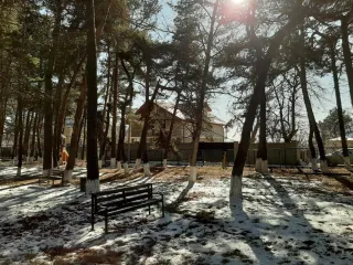 კოჯრის სახლი