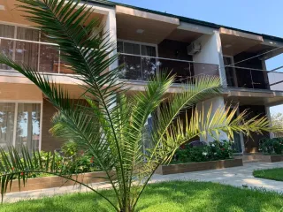 კოტეჯი ვ ურეკი, თამარი