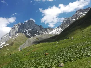 ლევანი და მეგი