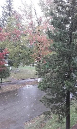 ბინა კოლხეთის ქუჩაზე 1