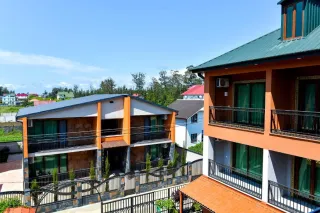 ლომების ბინა