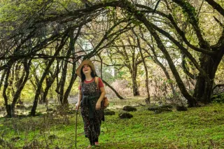 ლუდვიგ სასტუმრო სახლი